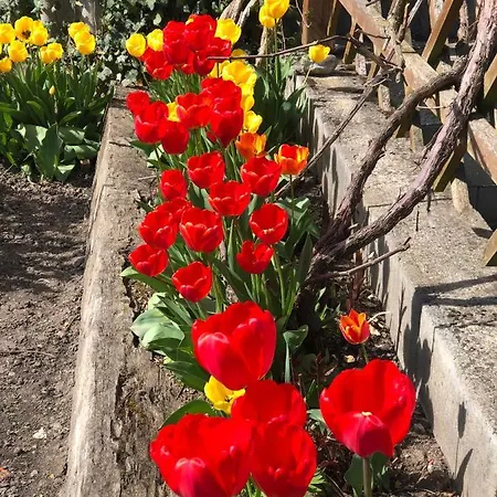 Apartmány Jílovice Apartmán