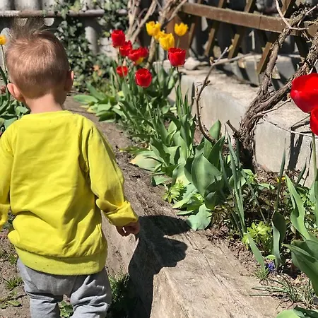 Apartmány Jílovice Apartmán